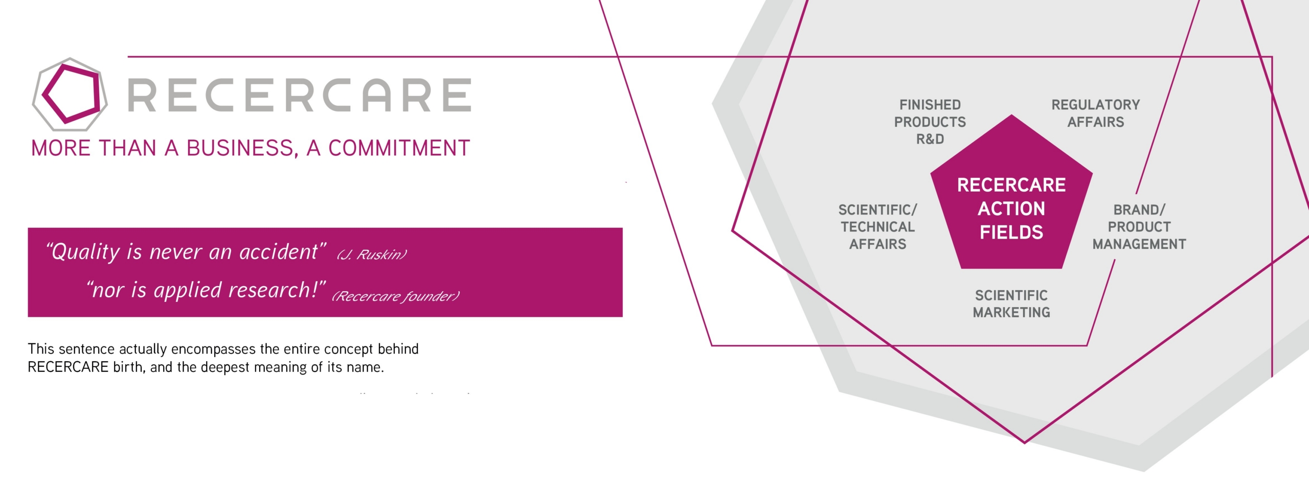 COMPANY PROFILE RECERCARE
