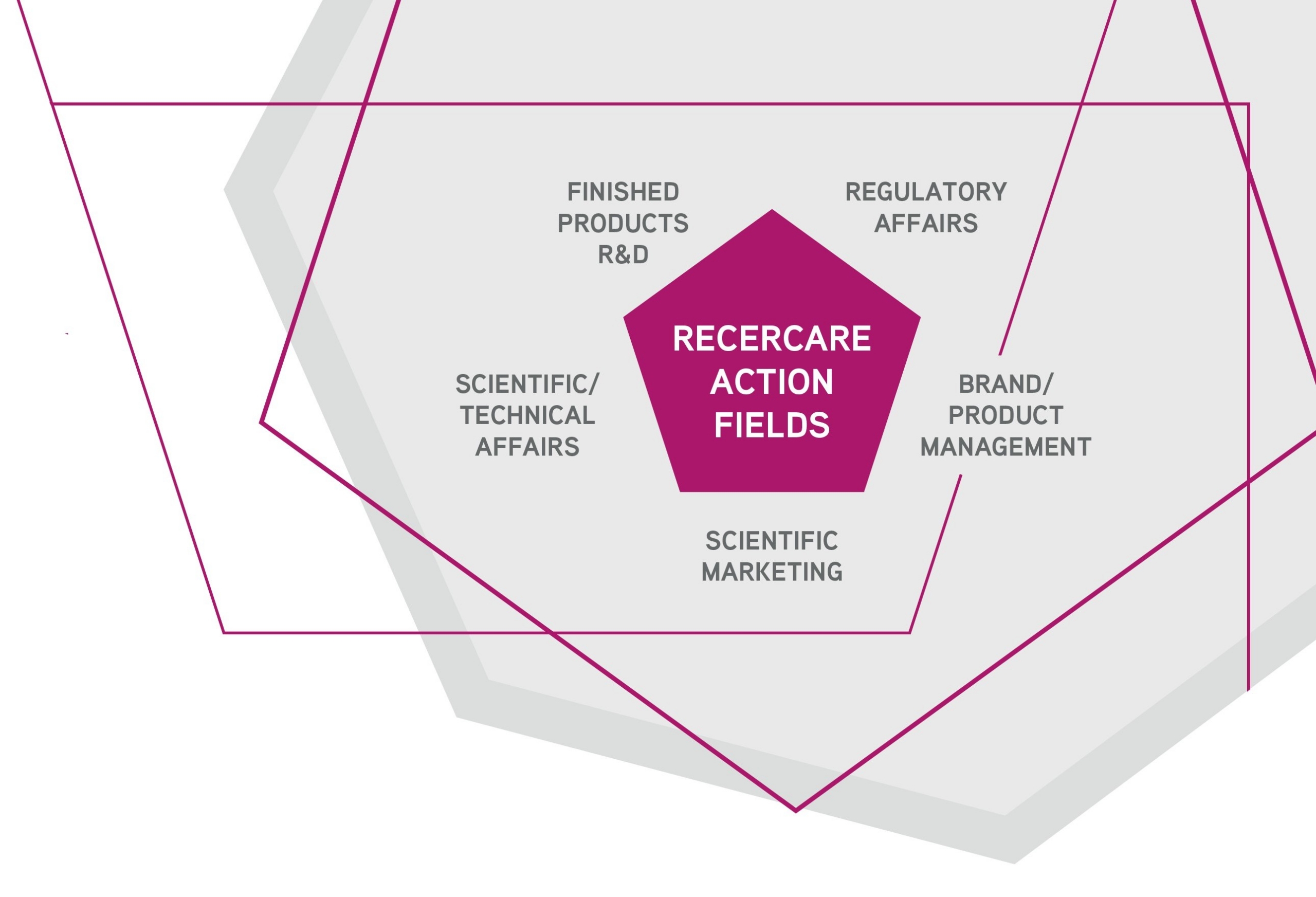 COMPANY PROFILE RECERCARE